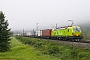 Siemens 22241 - TXL "193 558"
03.09.2017 - Wernfeld
Timothée Roux