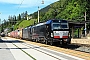 Siemens 22243 - TXL "X4 E - 660"
08.07.2020 - Steinach in Tirol
Kurt Sattig