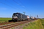 Siemens 22243 - TXL "X4 E - 660"
01.06.2022 - Bobenheim
Wolfgang Mauser