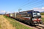 Siemens 22245 - SBB Cargo "193 665"
26.08.2026 - HeddesheimWolfgang Mauser