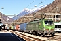 Siemens 22277 - TXL "193 283"
06.01.2022 - Biasca
Theo Stolz