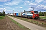 Siemens 22281 - SBB Cargo "193 461"
01.09.2020 - Waghäusel
John van Staaijeren