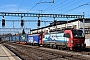 Siemens 22282 - SBB Cargo "193 462"
25.10.2021 - Burgdorf
Theo Stolz