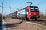 Siemens 22282 - SBB Cargo "193 462"
11.01.2021 - Eimeldingen
Andreas Lindner