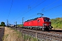 Siemens 22287 - DB Cargo "193 304"
13.06.2023 - Graben-Neudorf
Wolfgang Mauser