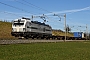 Siemens 22292 - railCare "476 453"
15.01.2020 - Sins
Peider Trippi