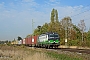 Siemens 22299 - RTB CARGO "193 726"
16.10.2018 - Brühl
Dirk Menshausen