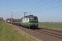 Siemens 22299 - RTB CARGO "193 726"
30.03.2021 - Peine-Woltorf
Gerd Zerulla