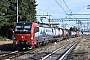Siemens 22304 - SBB Cargo "193 466"
25.03.2019 - Gallarate
Andre Grouillet