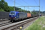 Siemens 22307 - BLS Cargo "494"
05.07.2019 - Gelterkinden
Michael Krahenbuhl