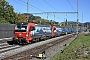 Siemens 22320 - SBB Cargo "193 475"
13.10.2018 - Gelterkinden
Michael Krahenbuhl