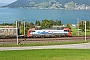 Siemens 22320 - SBB Cargo "193 475"
08.09.2021 - Arth
Peider Trippi