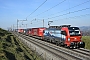 Siemens 22321 - SBB Cargo "193 476"
13.02.2019 - Muhlau
Michael Krahenbuhl