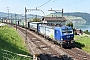 Siemens 22385 - BLS Cargo "497"
08.09.2021 - Arth
Peider Trippi