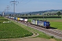 Siemens 22390 - BLS Cargo "496"
20.09.2019 - Wichtrach
Vincent Torterotot