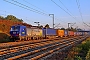 Siemens 22390 - BLS Cargo "496"
06.10.2023 - Graben-Neudorf
Wolfgang Mauser