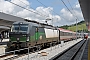 Siemens 22393 - SZ "193 723"
21.07.2023 - Maribor
John Mulrine