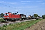 Siemens 22409 - DB Cargo "193 306"
15.09.2023 - Kenzingen
André Grouillet