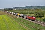Siemens 22413 - DB Cargo "193 307"
14.09.2019 - Schliengen
Vincent Torterotot