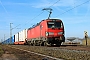 Siemens 22415 - DB Cargo "193 336"
12.02.2022 - Babenhausen-Harreshausen
Kurt Sattig