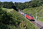 Siemens 22417 - DB Cargo "193 337"
16.06.2022 - Aachen, Gemmenicher Tunnel
Werner Consten