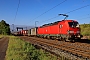 Siemens 22423 - DB Cargo "193 343"
13.05.2025 - Graben-Neudorf
Wolfgang Mauser