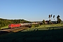 Siemens 22445 - DB Cargo "193 320"
28.05.2020 - Niddatal-Kaichen
Linus Wambach