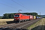 Siemens 22448 - DB Cargo "193 323"
19.07.2018 - Retzbach-Zellingen
Mario Lippert