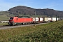 Siemens 22448 - DB Cargo "193 323"
19.12.2023 - Frick
Peider Trippi