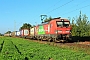 Siemens 22453 - DB Cargo "193 312"
14.09.2023 - Dieburg Ost
Kurt Sattig