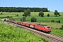 Siemens 22463 - DB Cargo "193 324"
19.06.2025 - Hindel
Philippe Smets