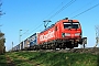 Siemens 22465 - DB Cargo "193 338"
05.04.2025 - Stockstadt (Main)
Kurt Sattig