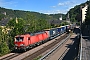 Siemens 22472 - DB Cargo "193 344"
13.06.2026 - St. GoarPierre Hosch
