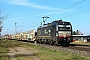 Siemens 22506 - Beacon Rail "X4 E - 626"
20.03.2025 - Babenhausen-Harreshausen
Kurt Sattig