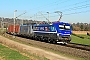 Siemens 22525 - RTB CARGO "193 793"
27.02.2019 - Walluf (Rheingau)
Kurt Sattig