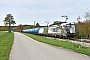 Siemens 22533 - EP Cargo "383 060"
29.10.2022 - Neumarkt (Oberfranken)-Pölling 
Holger Grunow