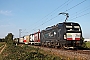 Siemens 22541 - BLS Cargo "X4 E - 711"
14.09.2020 - Buggingen
Tobias Schmidt