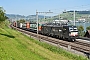 Siemens 22541 - BLS Cargo "91 80 6193 711-9 D-DISPO"
08.09.2021 - Arth
Peider Trippi