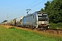 Siemens 22559 - tenforty2-Rail "193 990-9"
17.06.2025 - Dieburg Ost
Kurt Sattig