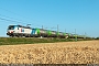 Siemens 22569 - InRail "191 101"
22.06.2020 - StanghellaRiccardo Fogagnolo