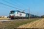Siemens 22569 - InRail "191 101"
09.10.2020 - Rovigo
Riccardo Fogagnolo