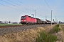 Siemens 22573 - DB Cargo "193 369"
22.01.2025 - Horka
Torsten Frahn
