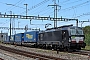 Siemens 22584 - BLS Cargo "X4 E - 715"
10.08.2021 - Pratteln
Theo Stolz