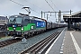 Siemens 22602 - ČD Cargo "193 758"
03.02.2024 - Hengelo
Niels Arnold