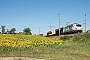 Siemens 22603 - DB Cargo "193 361"
21.07.2020 - Nuthetal-Nudow
Alex Huber