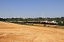 Siemens 22613 - DB Cargo "193 366"
25.07.2026 - WonckPhilippe Smets