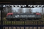 Siemens 22631 - PKP Cargo "EU46-520"
10.03.2020 - Rzepin
Harald Belz