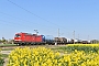 Siemens 22632 - DB Cargo "193 399"
21.04.2020 - Wiedemar OT Kyhna
Marcus Schrödter