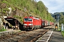 Siemens 22637 - DB Cargo "193 377"
11.05.2021 - Bad Schandau-Schmilka
Alex Huber