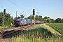 Siemens 22663 - SBB Cargo "193 524"
21.06.2021 - Kenzingen
Jean-Claude Mons